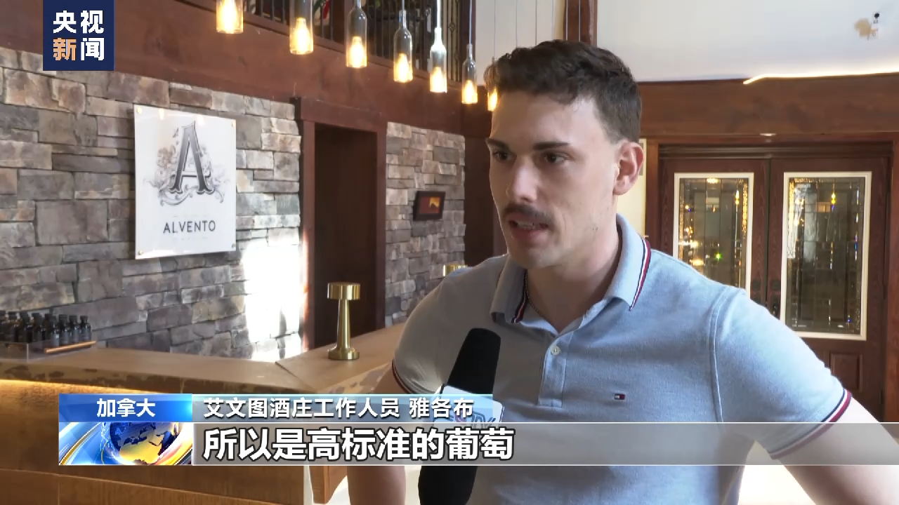 賽博娛樂城：加拿大酒莊：消博會是進入中國市場好機會